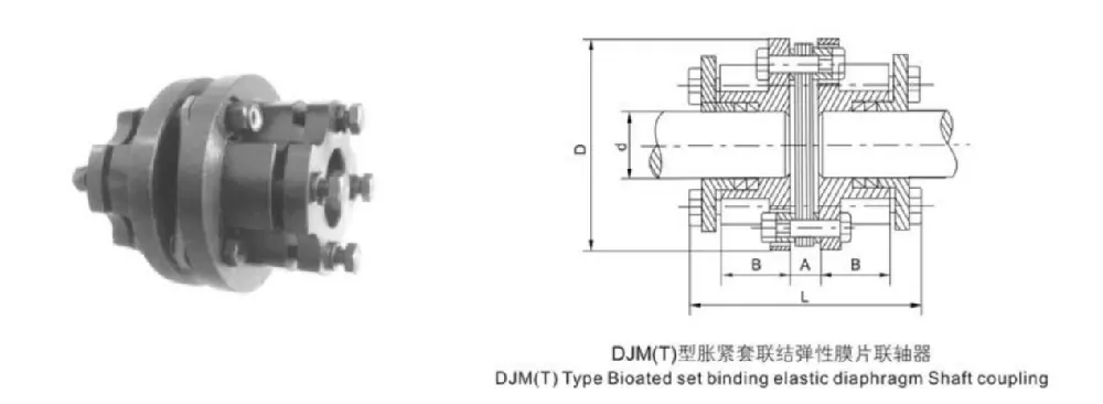 Diaphragm Coupling